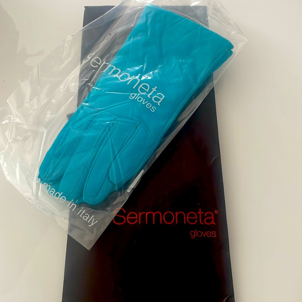 Blue leather gloves, purchased in Italy